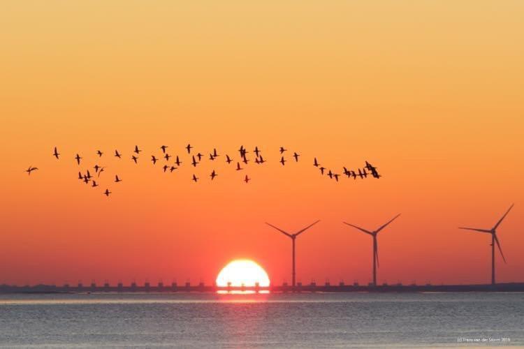 Heerenkeet 4 Pers Appartement Aan De Oosterschelde Kerkwerve Eksteriør billede